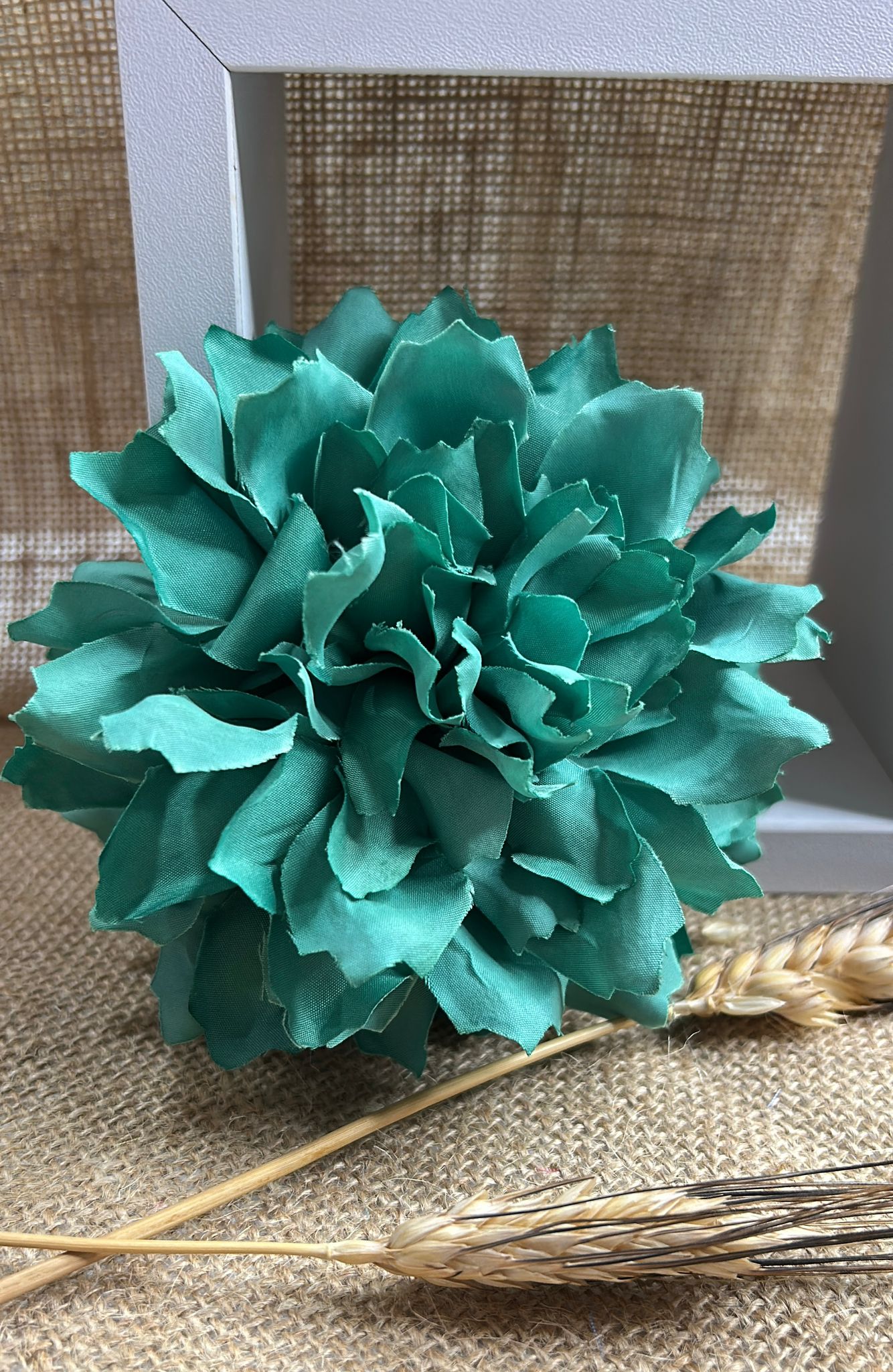 Dalia flamenca