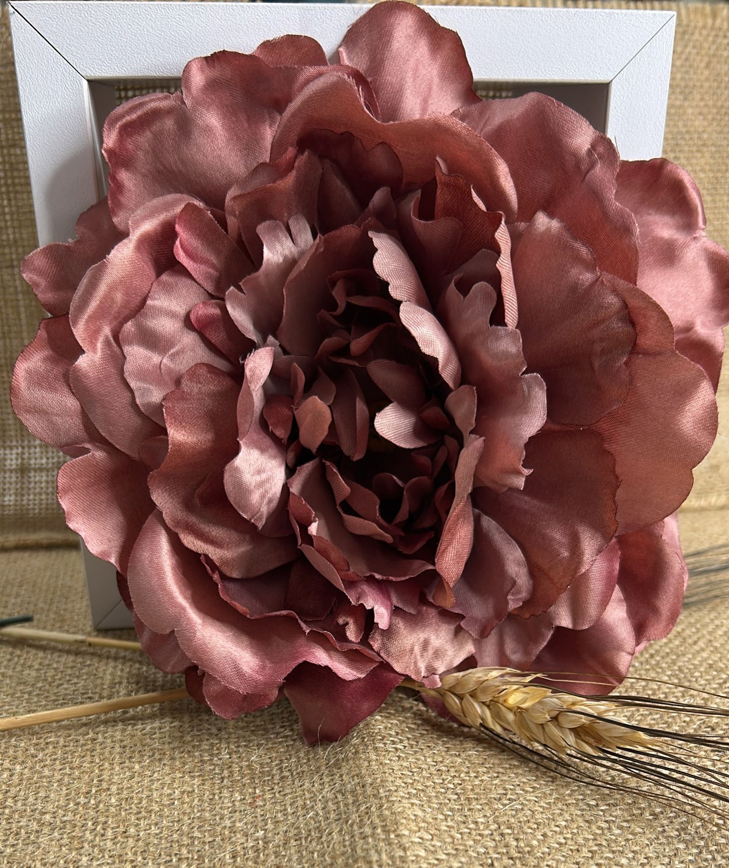 Peonia grande flamenca