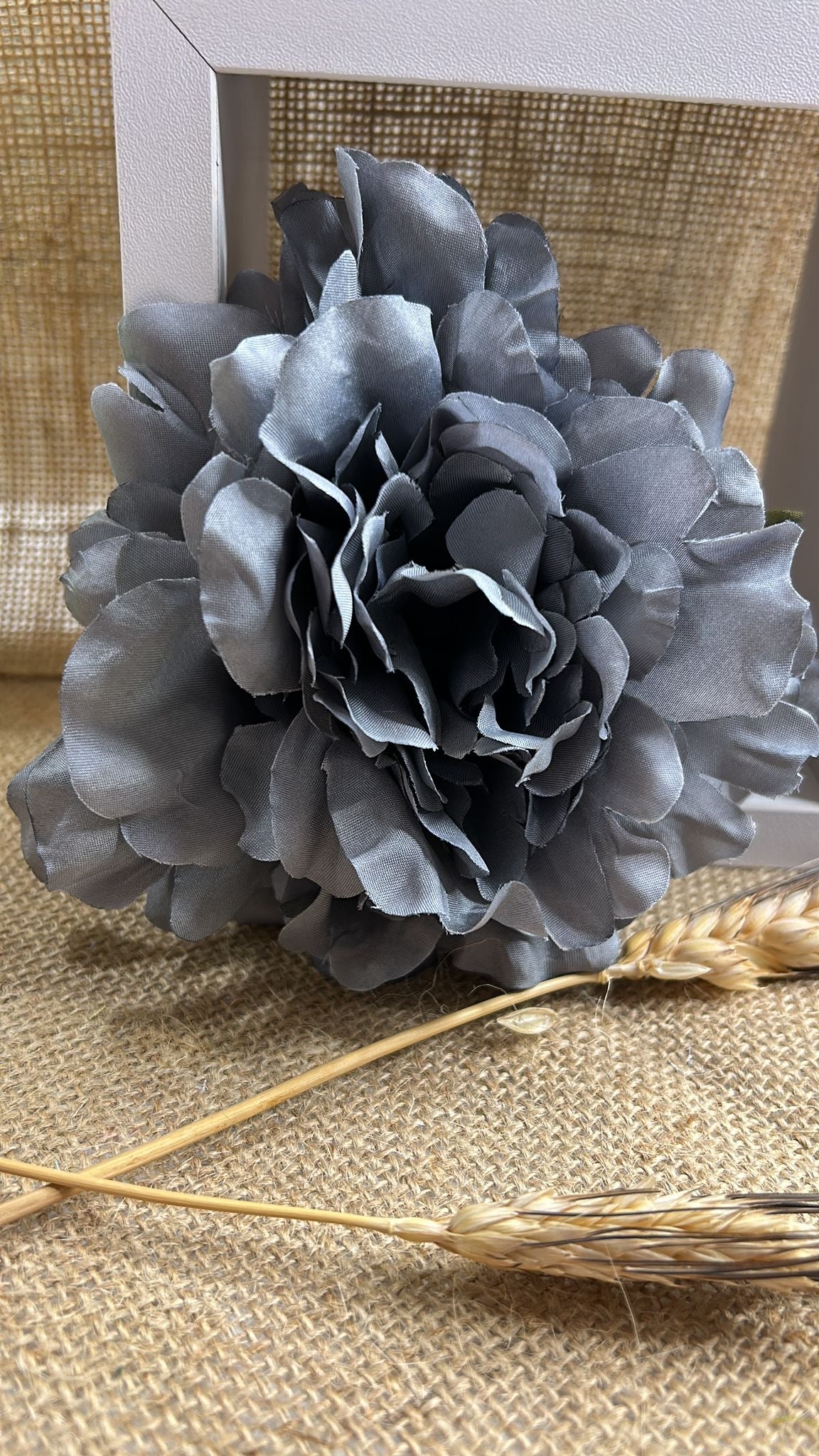 Peonia flamenca