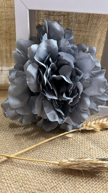 Peonia flamenca