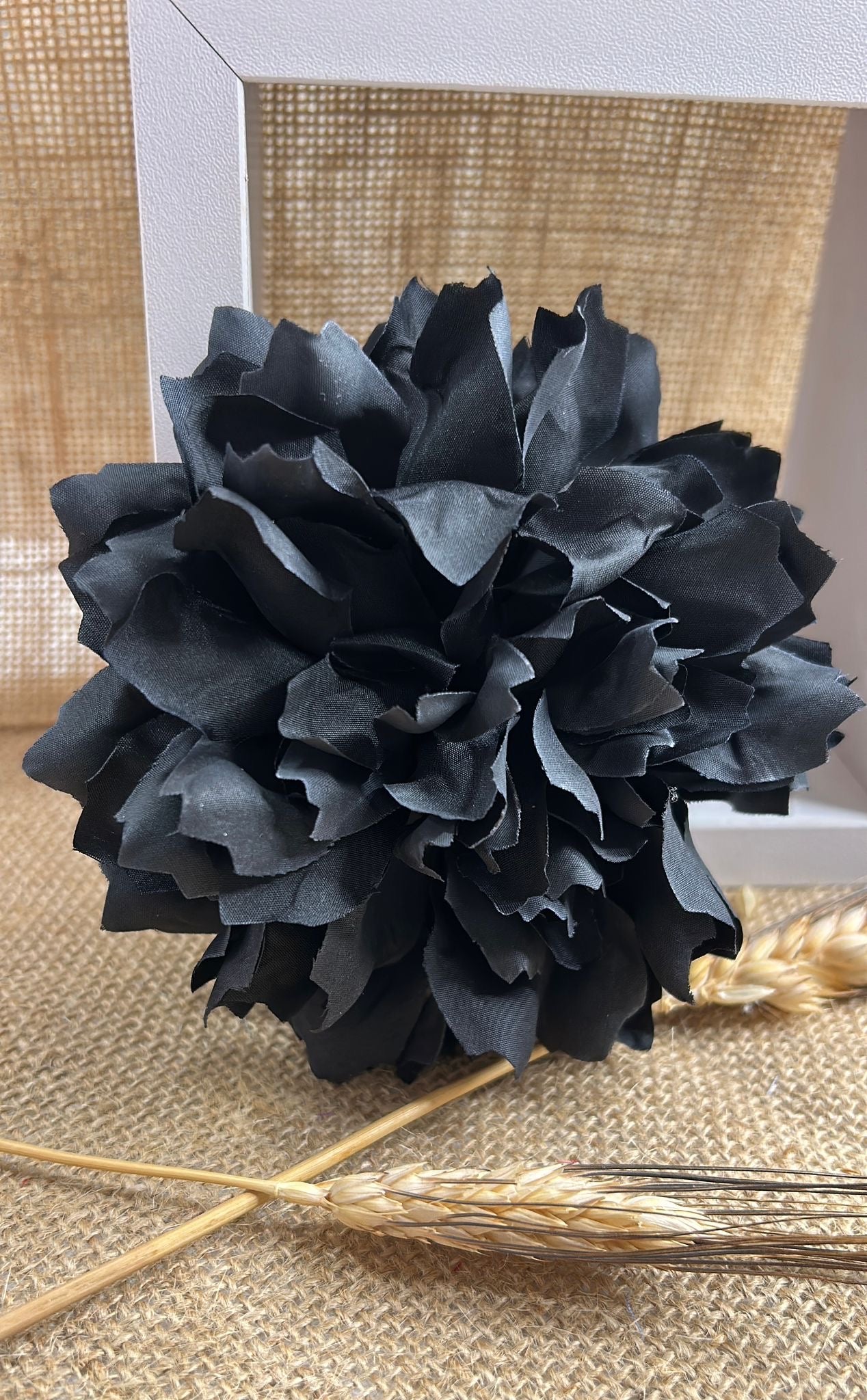 Dalia flamenca