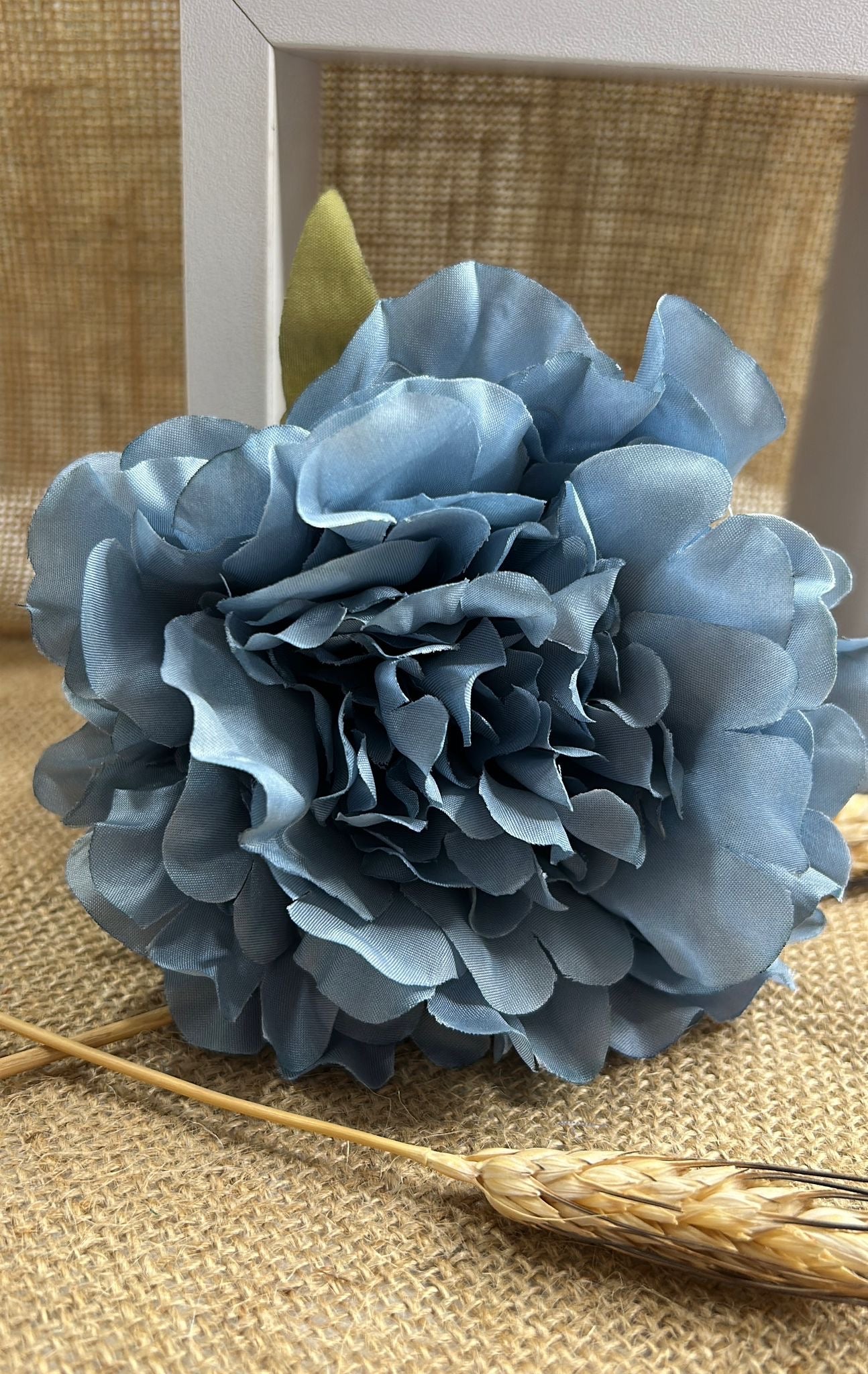 Peonia flamenca