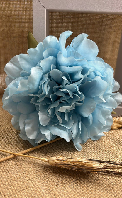 Peonia flamenca