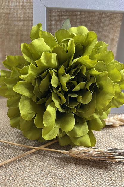 Peonia flamenca