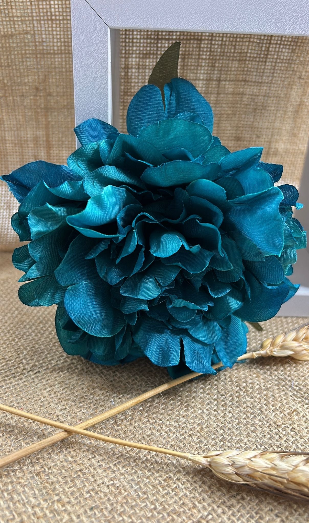 Peonia flamenca