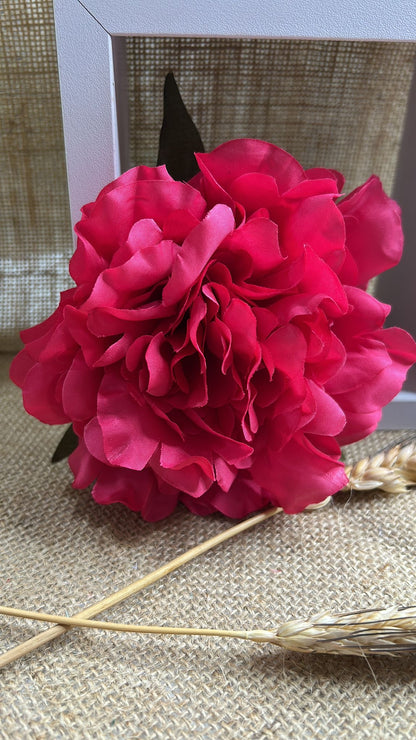 Peonia flamenca