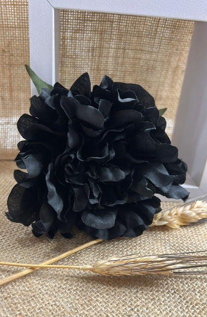 Peonia flamenca