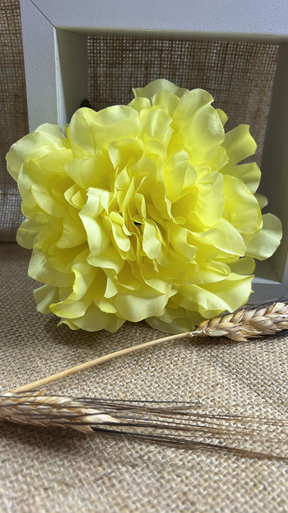 Peonia flamenca