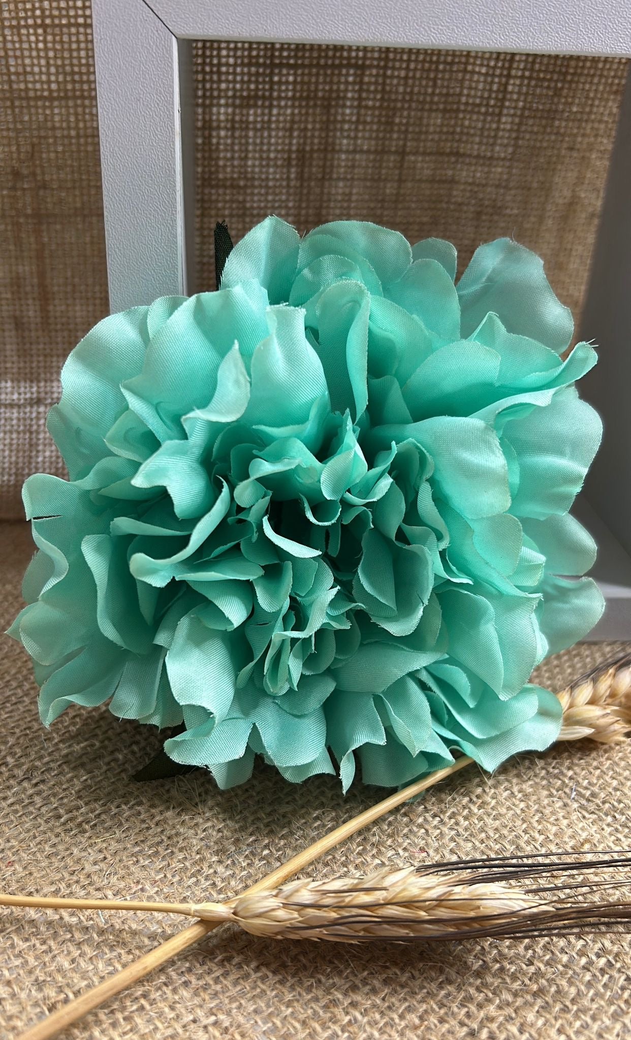 Peonia flamenca