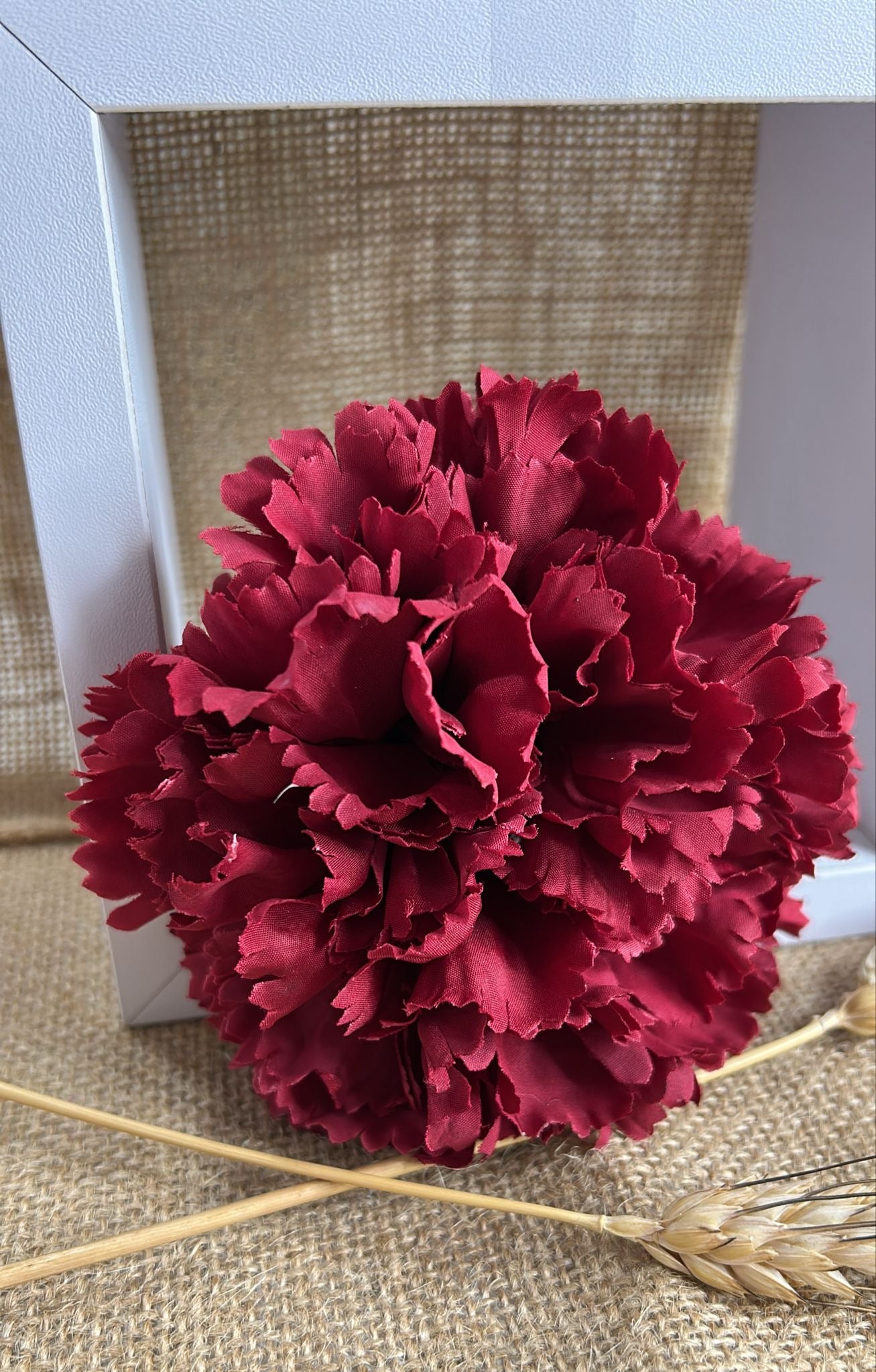 Claveles grandes flamenca