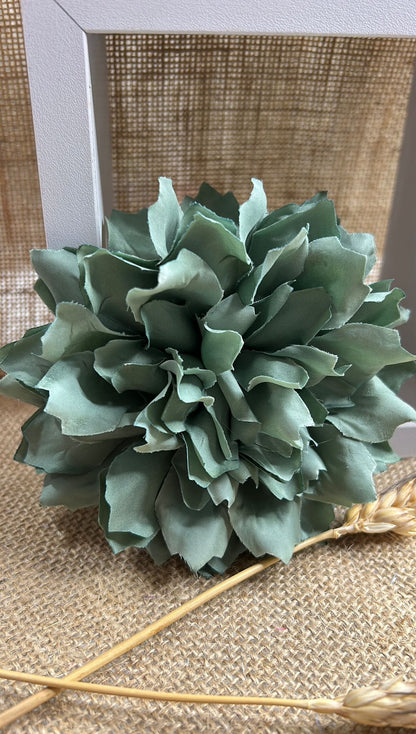 Dalia flamenca