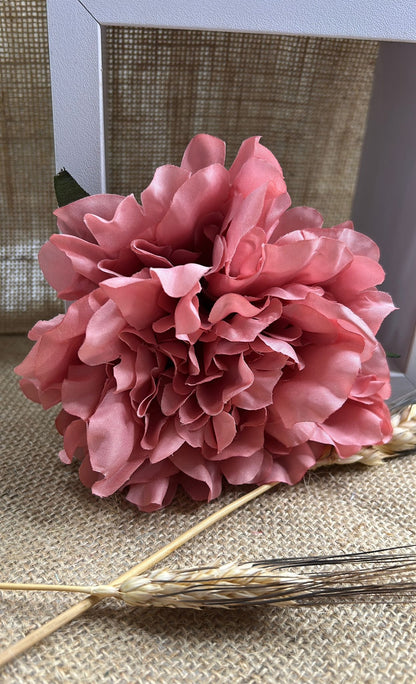 Peonia flamenca