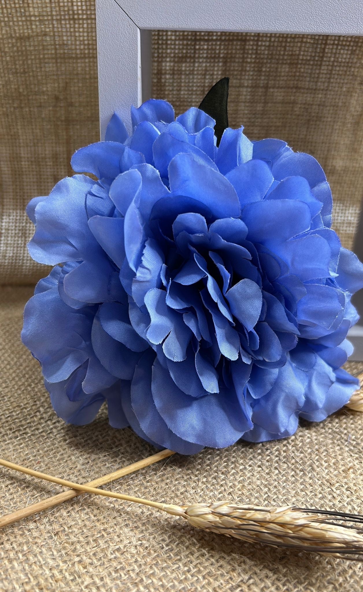 Peonia flamenca