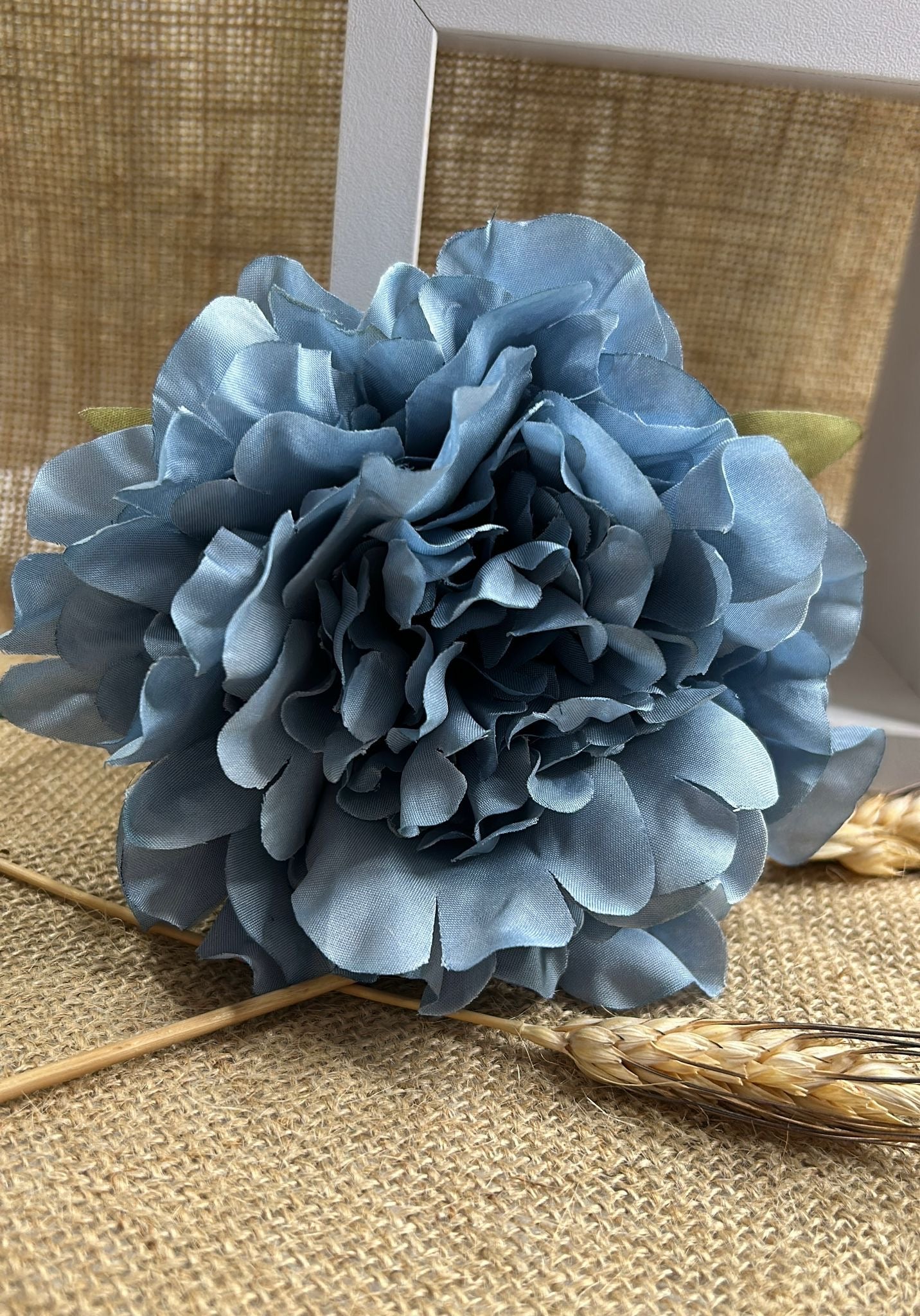 Peonia flamenca