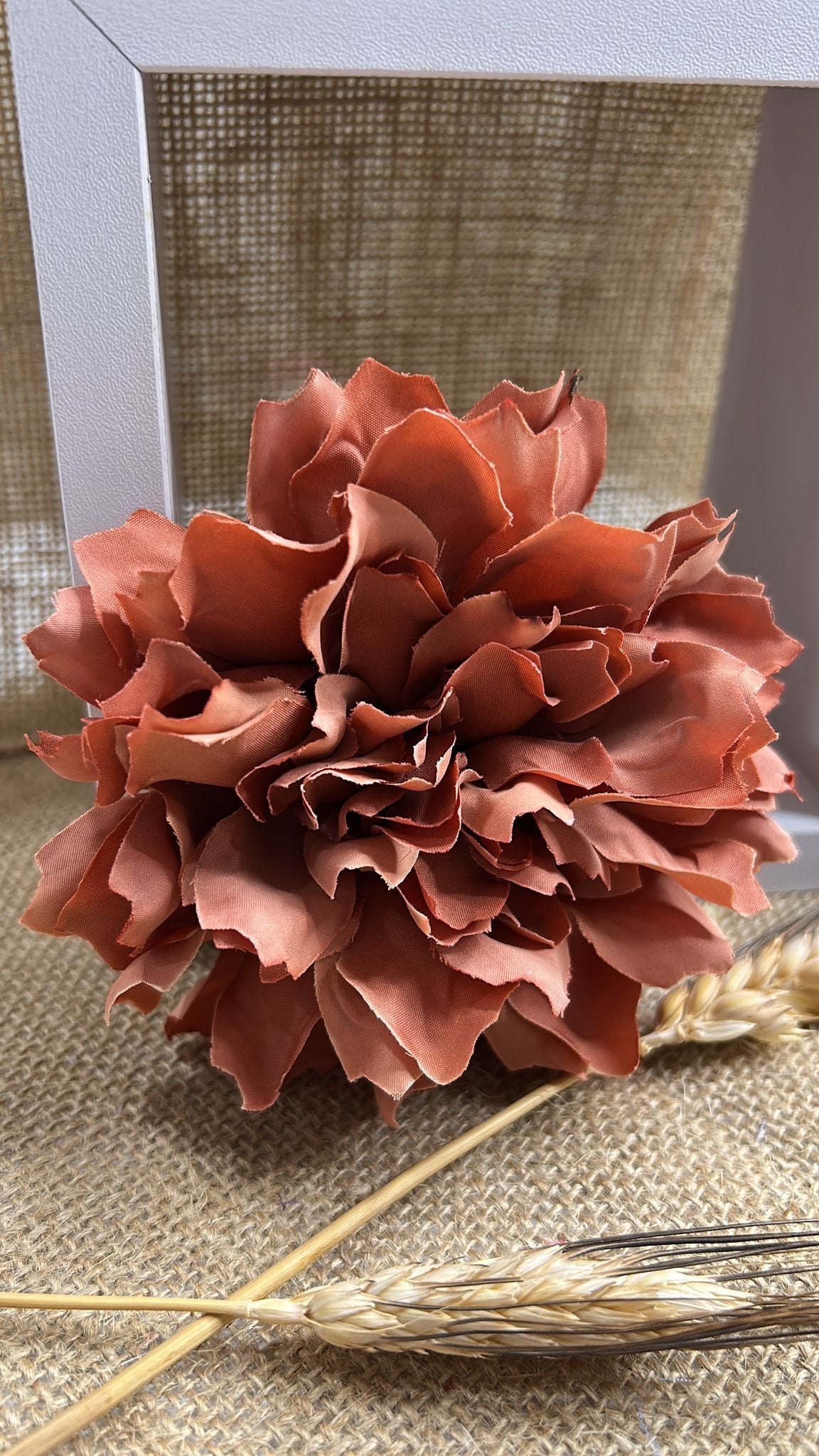 Dalia flamenca