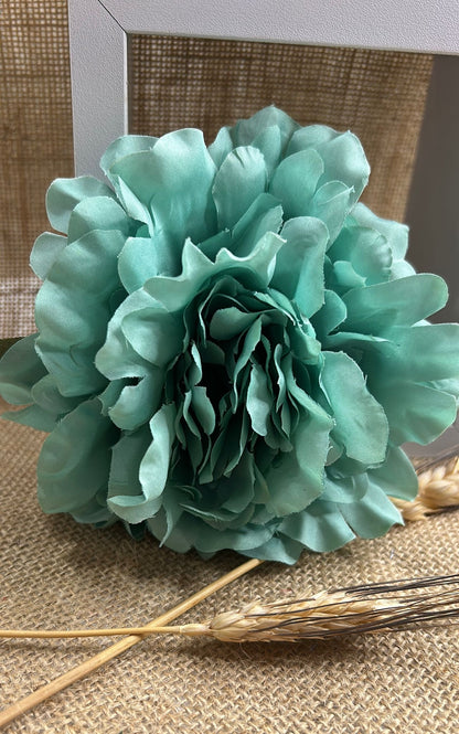 Peonia flamenca