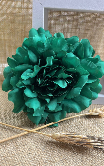 Peonia flamenca