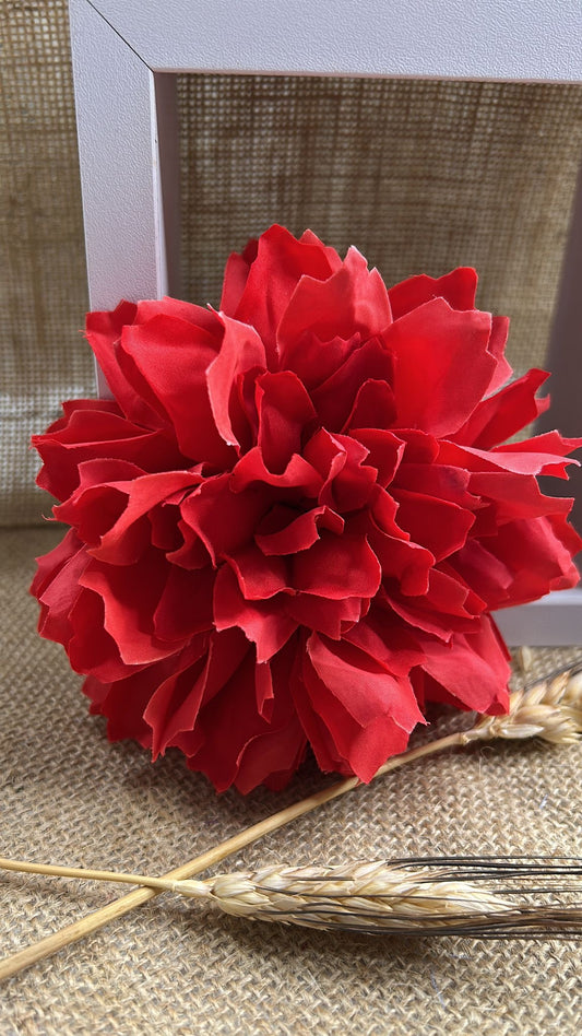 Dalia flamenca