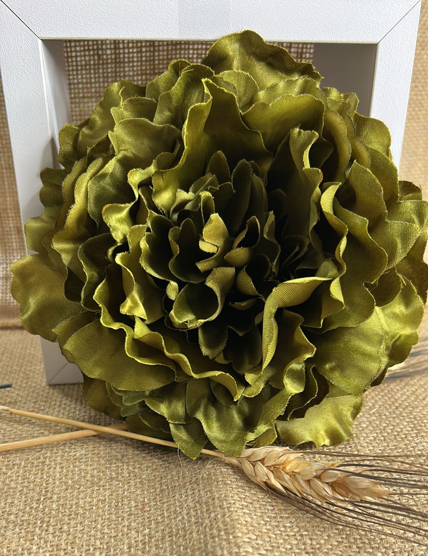 Peonia grande flamenca