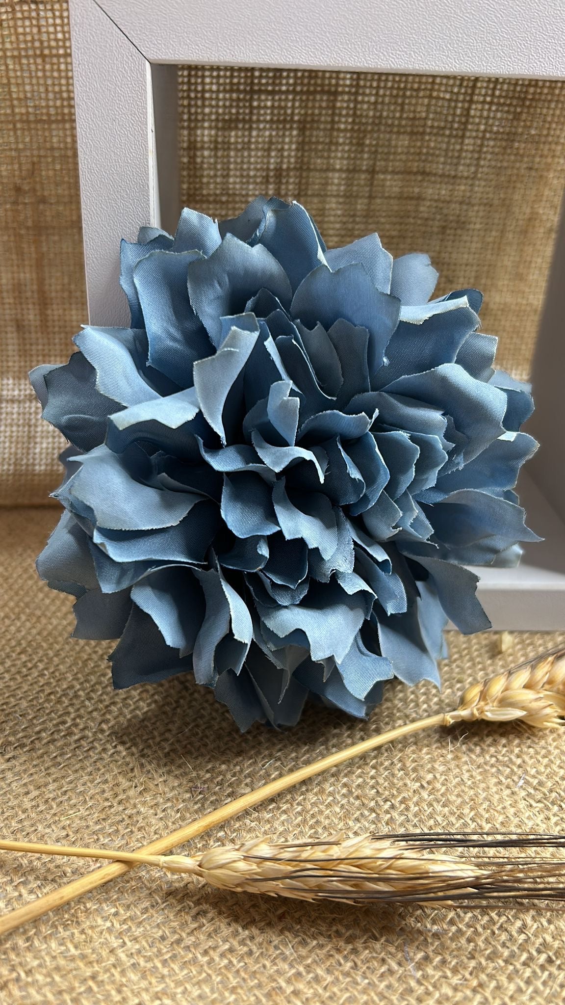 Dalia flamenca