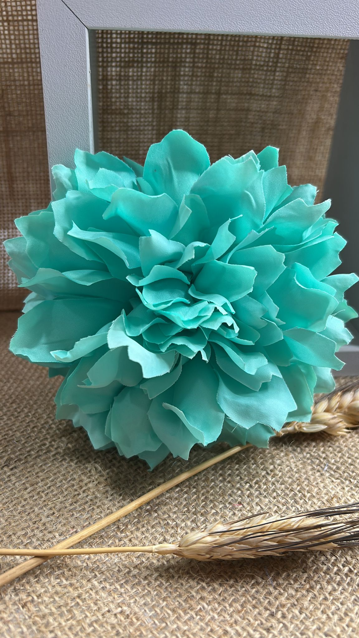 Dalia flamenca