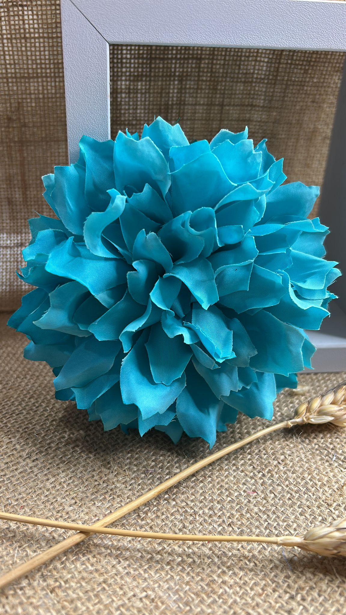 Dalia flamenca