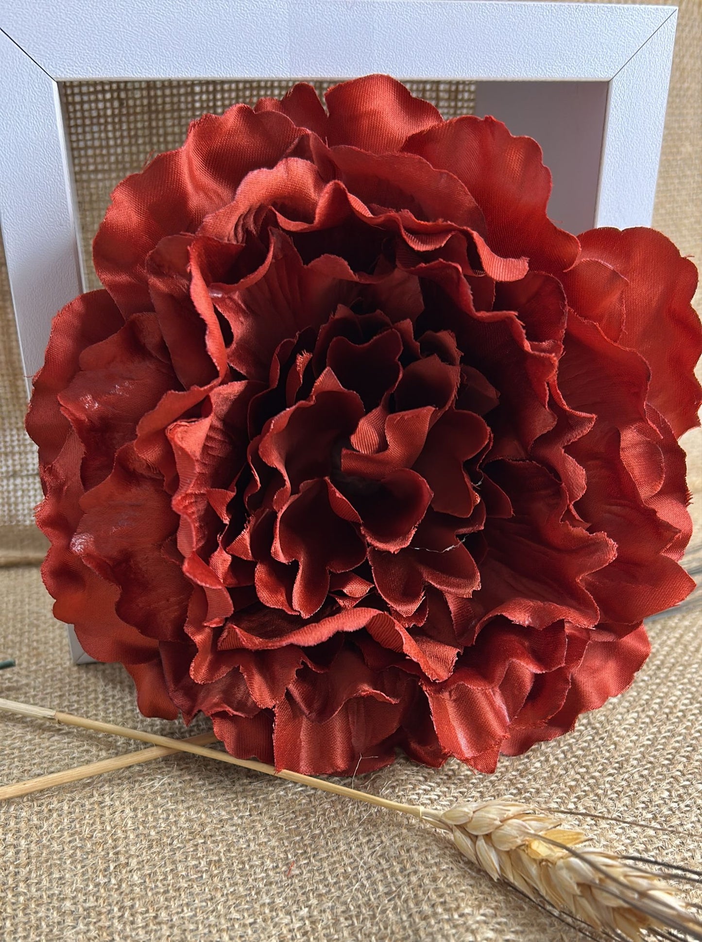 Peonia grande flamenca