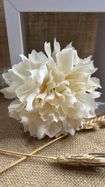Dalia flamenca