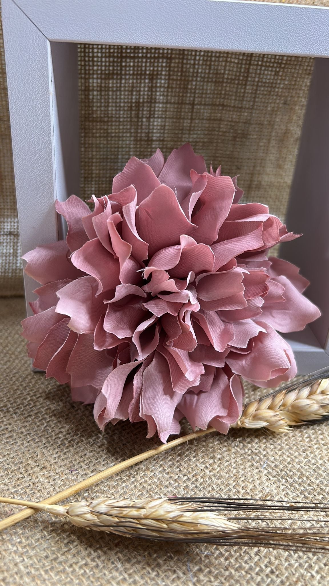 Dalia flamenca