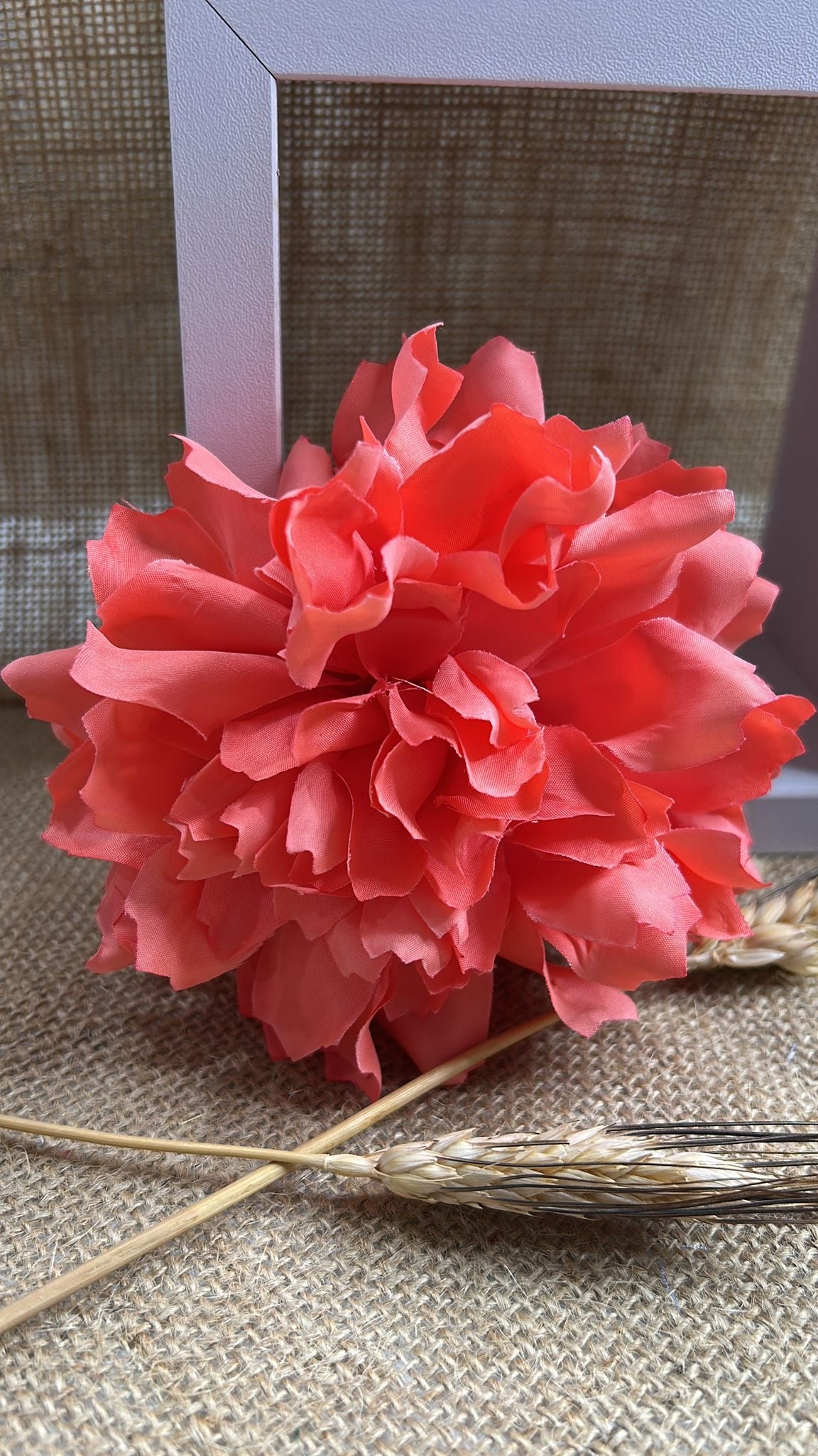 Dalia flamenca