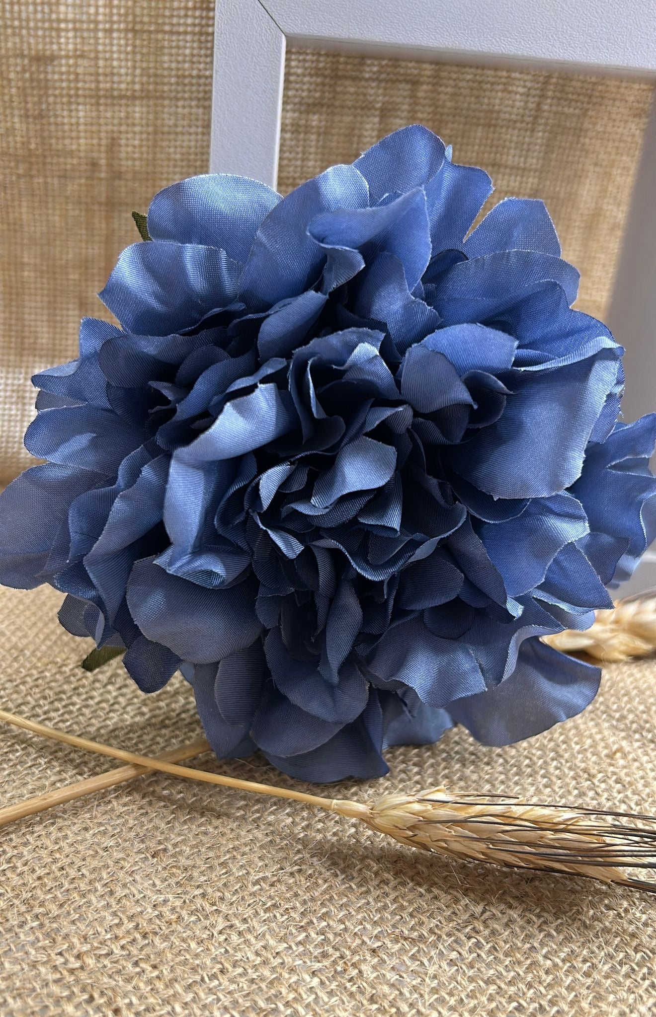 Peonia flamenca