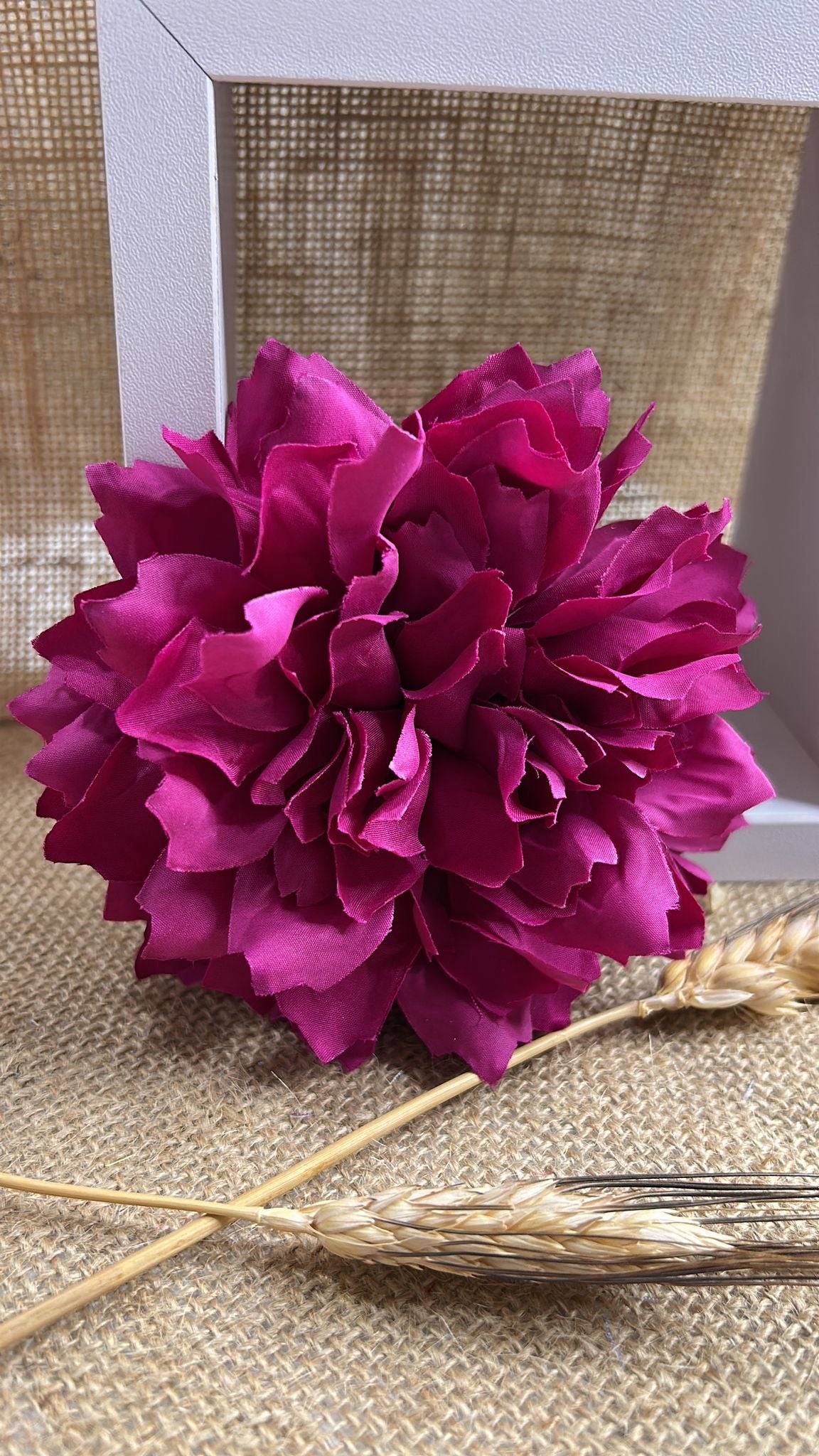 Dalia flamenca